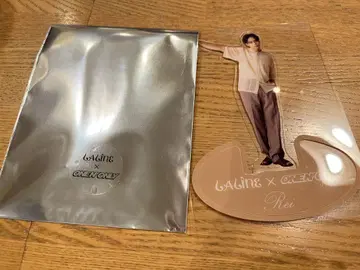 사와무라 레이 Laline 클리어 스탠드