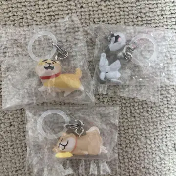 시반반 메지루시 액세서리