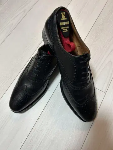 SCOTCH GRAIN 스카치 그레인 T0325 백화점 한정판 모델
