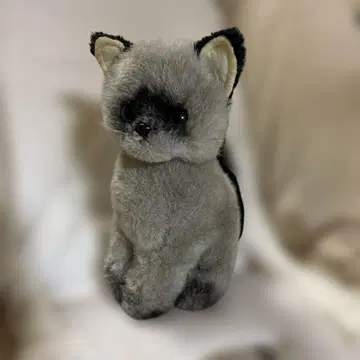 프리모 샴 고양이 샴 고양이 일본제 봉제 인형 primo