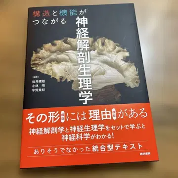 구조와 기능이 연결되는 신경해부생리학