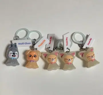 SKZOO 메지루시 액세서리 5세트