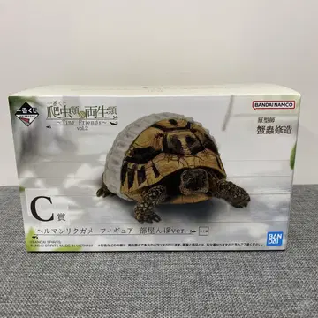 제일복권 파충류 양서류 2 C상 헬만리쿠가메 피규어