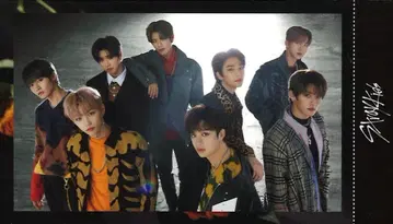 Stray Kids 모음 SKZ2020 트레이딩 카드
