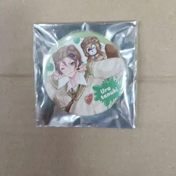 우라시마사카타센 우라타누키 와타카와