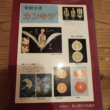 과수 전서 감귤류