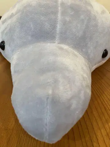 그레이 돌고래 봉제 인형