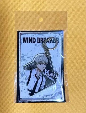WIND BREAKER 카지 렌 아크릴 키링 락 가죽