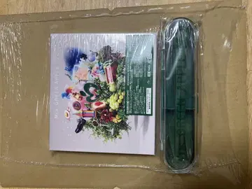 Mr. GREEN APPLE 10주년 기념 앨범 10
