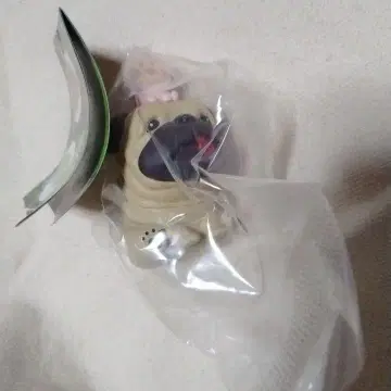 가르시아&카쿠레모모지리 코비토즈칸 오스와리 마스코트 4 시크릿