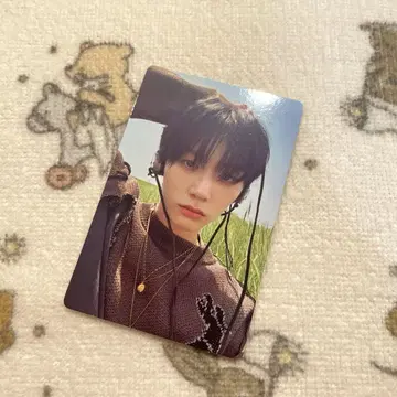 boynextdoor why 트레이딩 카드 태산