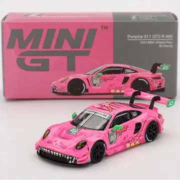 Porsche 911 GT3 VIRginia Roxy AO Racing