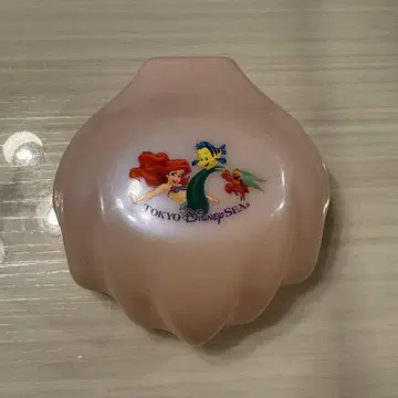 아리엘 쉘 모양 케이스 수베니어