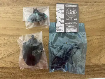 생물대도감 카부토무시 04 얀손테나가코가네