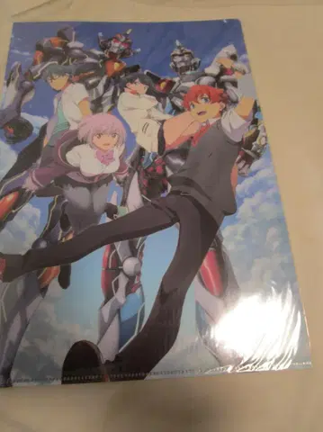 SSSS.GRIDMAN in 아리오 하시모토 한정판 굿즈 클리어 파일