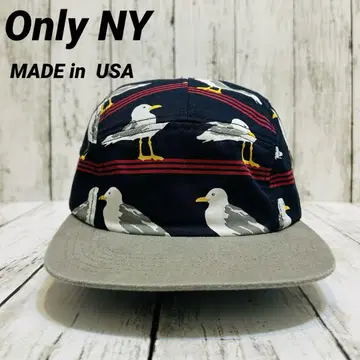 Only NY 온리 뉴욕 제트 캡 USA제 스케이터