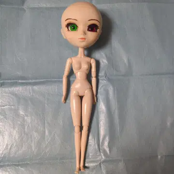 풀립 소체