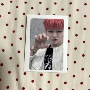 treasure 트레저 팝업 특전 트레이딩 카드 6000엔 요시
