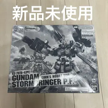 MG 1/100 건담 스톰 브링거 P.F.