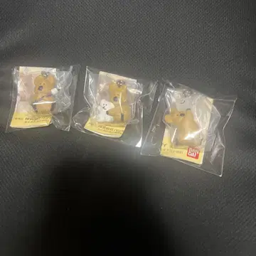 DINOTAENG 메지루시 액세서리 3종 세트