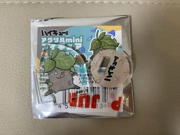 하이큐!! 아크릴 mini 피규어 동물 모티브 오이카와 토오루 팬파크