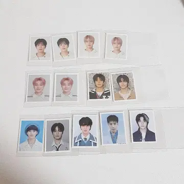 만네즈 증명사진 세트