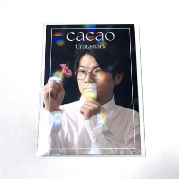cacao 우라타 스타크 요시모토 콜레카 플라워