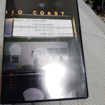 11월들