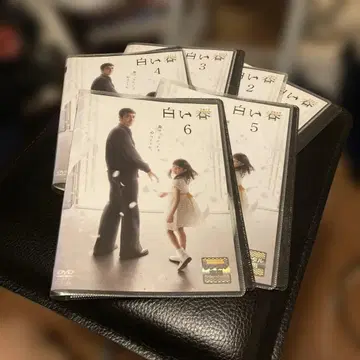 화이트 스프링 DVD 전 6권 세트 렌탈 업 상품