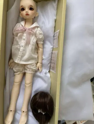 보크스 SDM 스탠다드 노아