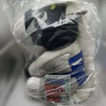 골드십 아이돌 호스