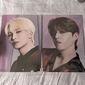 seventeen power of love 프리미엄 사진