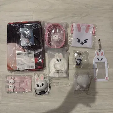 StrayKids 스키즈 리노 Lee비트 굿즈 묶음 판매