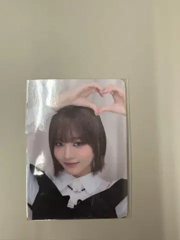 이이다 시즈키 회장에서 CD 구매 혜택 트레이딩 카드
