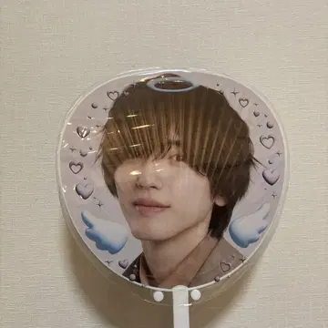 미치에다 슌스케 부채