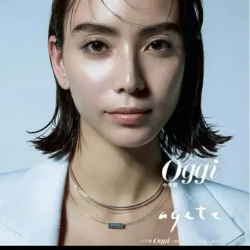 agete 아가트 2023 초커 실버 목걸이 현행 모델
