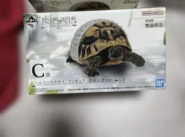 제일복권 파충류 C상 헤르만 육지거북 피규어 방황ver. 2