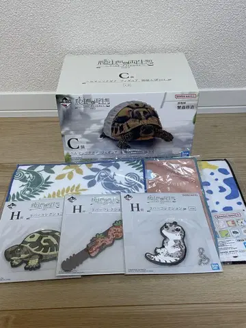 제일복권 파충류 & 양서류 vol.2 C상 헤르만 육지거북