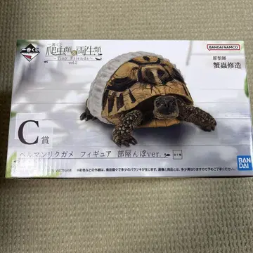 제일복권 파충류 C상 헬만리쿠가메 피규어 방에서 놀기 ver.