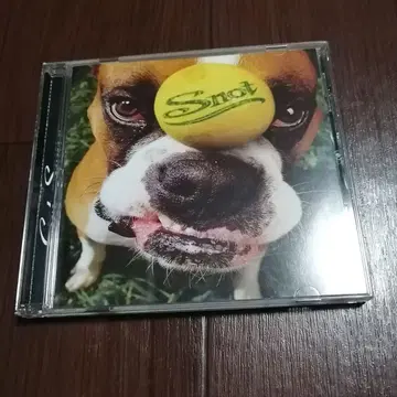 스노트/겟 썸 snot get some 서양 POP CD