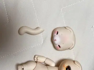 코코리안 크림 모카