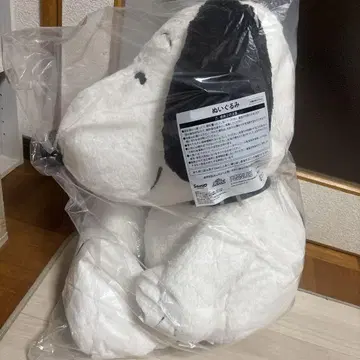 스쿠피 1번 복권