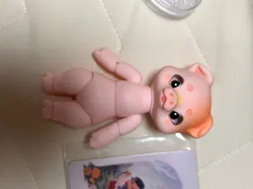 코코리안 핑크 안드레