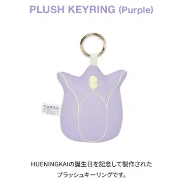 TXT 투바 휴닝카이 2023 생일 플라워샵 키링