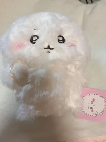치이카와 (먼작귀) 늘어난 머리숱 봉제 인형