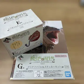 제일복권 파충류&양서류 E상 카멜레온 마그넷+G상