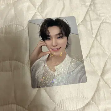 세부치 디노 트레이딩 카드 FC 업데이트