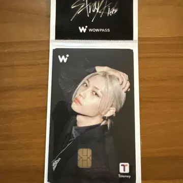 Straykids 스키즈 wowpass 와우패스 felix 필릭스