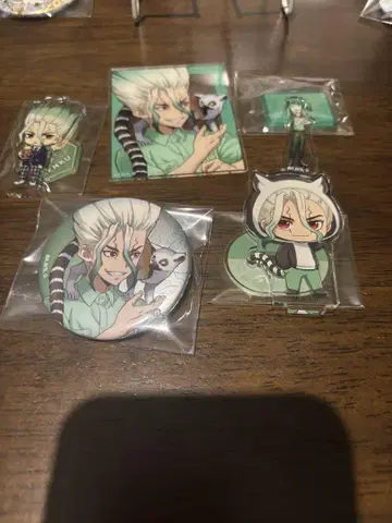 Dr.STONE 이시가미 치쿠사 굿즈 세트