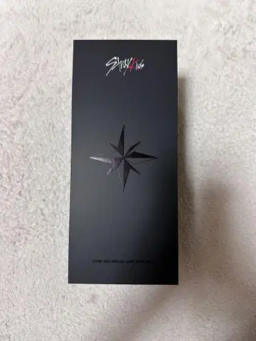 Stray Kids 응원봉